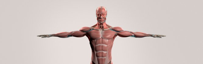 De bästa överkroppsövningarna för träning hemma - Gymshape
