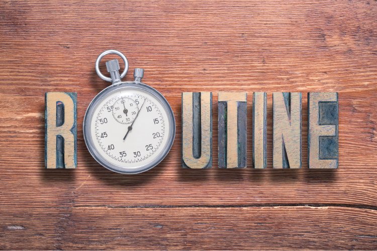 Hur man skapar en effektiv träningsrutin - Gymshape